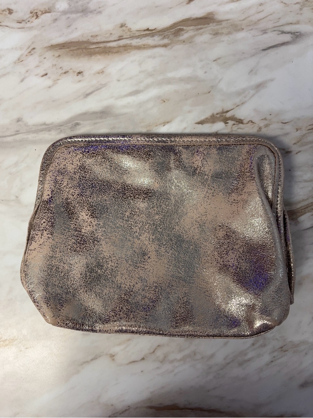 Hobo Metallic Taupe Cosmetic Pouch